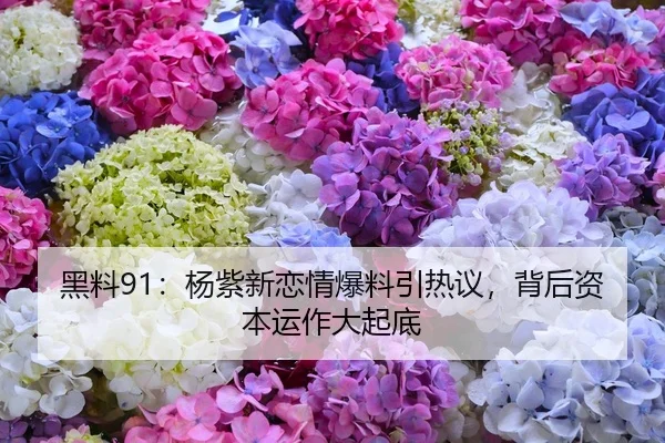 黑料91：杨紫新恋情爆料引热议，背后资本运作大起底